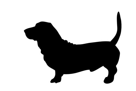 Dog Basset Black Silhouette Free Stock Photo Public Domain Pictures