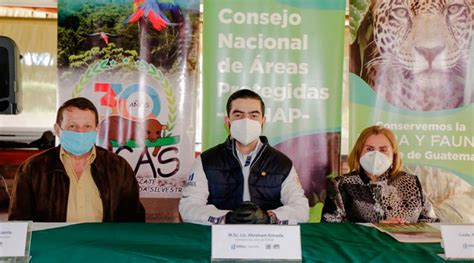 Conap Liberará 70 Animales Silvestres En Yaxhá Diario De Centro América