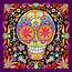 Day Of The Dead Art A Gallery Colorful Skull Celebrating Dia De 