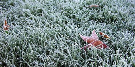 The Benefits Of Aerating Your Lawn During Winter Mowing Perth