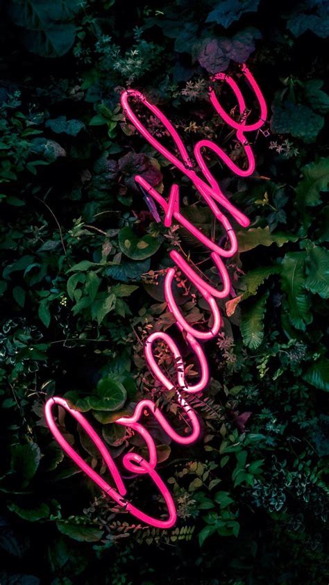 Pink Led Aesthetic Wallpaper If Youre Looking For The Best Aesthetic