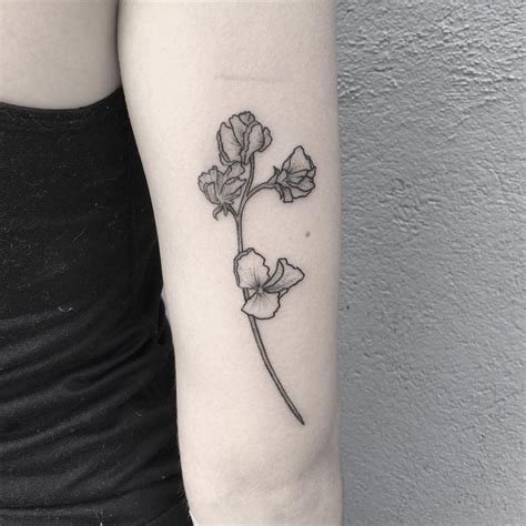 Pin By Edgar Hernandez On Body Art Sweet Pea Tattoo Dainty Flower