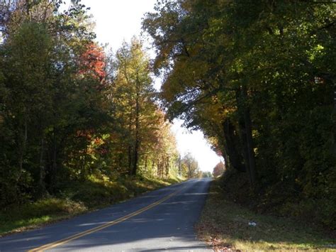 11 Country Roads In Kentucky That Are Pure Bliss In The