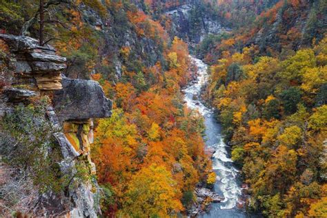 The 2022 Visitor Guide To Tallulah Gorge Best Things To Do And When To Visit