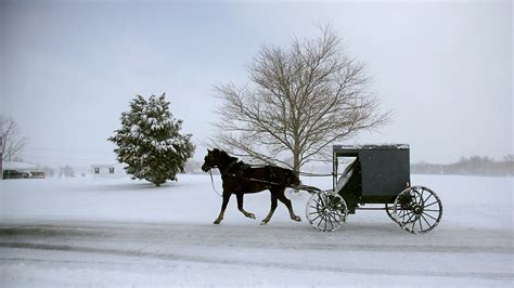 Bbc Two Leaving Amish Paradise