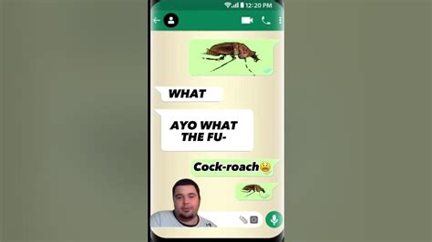 Cock Roach 😫😫😫😫 Youtube