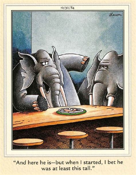 The Far Side Cartoons Elephants The Far Side Funny Cartoons