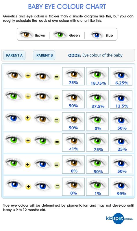 8 best eye color chart genetics images in 2020 eye color chart eye 8