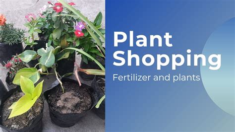 Plant Shopping And Fertilizer Indoor And Outdoor Plants Gardening