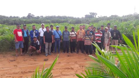 KUD Permai Desa Penyalimau Kunjungi Pembibitan Kelapa Sawit Di PPKS