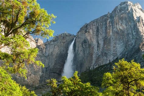 Yosemite Falls On Clear Morning Yosemite National Park Stock Image