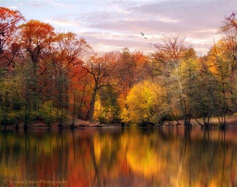 Autumn Impressions By Jessica Jenney Memolition