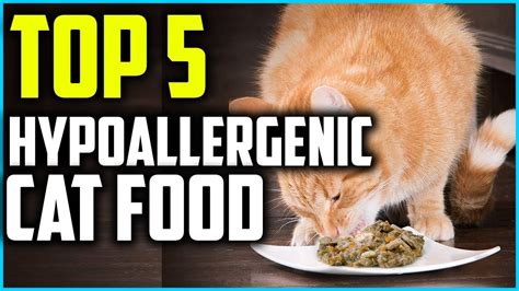 If no hypoallergenic cat foods. Top 5 Best Hypoallergenic Cat Food in 2021 - YouTube