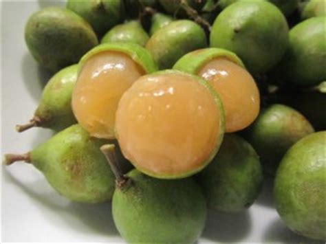 Of course, the addition of vodka makes it even better. 10 Important Things You Should Know About Quenepas ...