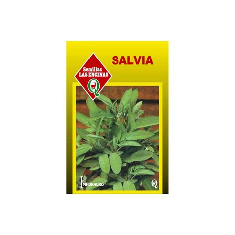 Semillas De Salvia Rocaverde Chile