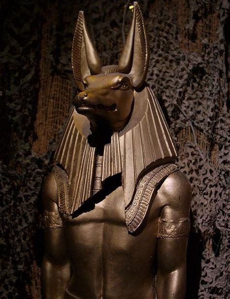 anúbis é o antigo deus egípcio da morte e dos moribundos por vezes também considerado deus do