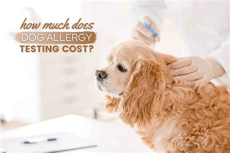 Dog Allergy Testing Cost How Much Will You Pay Update 2024 Canine