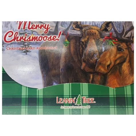Leanin Tree Merry Chrismoose Christmas Card Assortment 20 Cards And 22