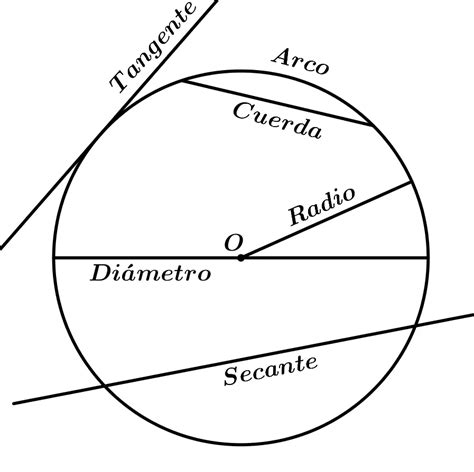 Elementos De La Circunferencia Explicación Detallada