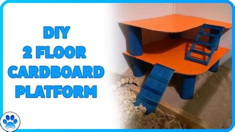2 Level Diy Cardboard Platform For Small Pets Diy Hamster Toys Youtube
