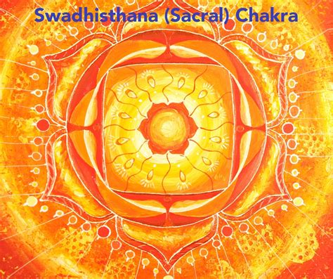 Balancing Chakras Part 2 The Sacral Chakra Amphora Aromatics Ltd