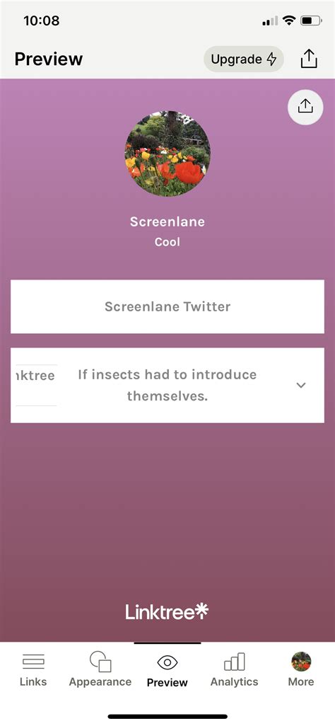 Screenshot Of Linktree Preview
