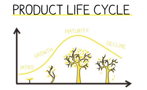 Siklus Hidup Produk Product Life Cycle Supply Chain Management Porn