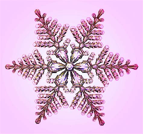 Snowflake | Snowflake photography, Snowflake wallpaper ...
