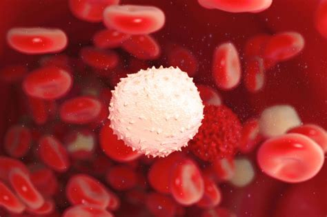 Diagnosis hsmi disease is diagnosed by. Cellular messaging system may bring new way to treat ...