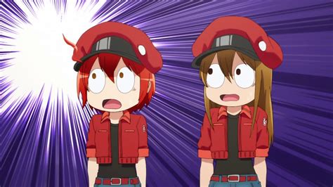 はたらく細胞,アニメ,赤血球, はたらく細胞 1話,はたらく細胞 2話,はたらく細胞 3話,はたらく細胞 4話,はたらく細胞 5話,はたらく細胞 6話,はたら. 「はたらく細胞」不吉の4連発 - YouTube