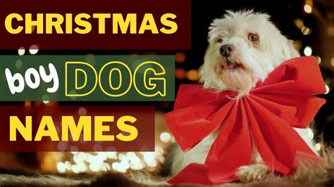 Christmas Puppy Names Male Dog Name Ideas Youtube