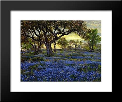 Old Live Oak Tree And Bluebonnets On The West Texas