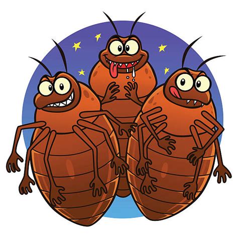 Bedbug Illustrations Royalty Free Vector Graphics And Clip Art Istock