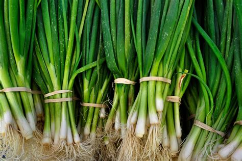 Shallots Vs Spring Onions Whats The Difference New Idea Magazine