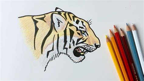 How To Draw A Tiger Roaring Youtube