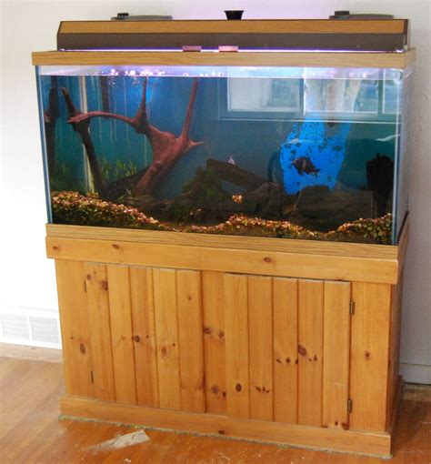 For Sale 90 Gallon Fish Tank With Stand 2 Filters Light Flickr