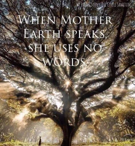 Pin By Sisters Of The Mists On Words Nature Quotes Mother Quotes