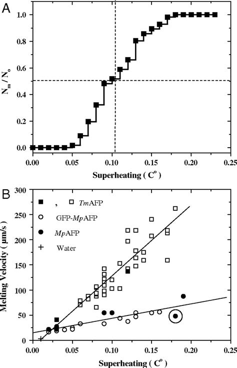 Superheating Of Ice Crystals In Antifreeze Protein Solutions Pnas
