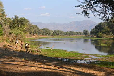 Lower Zambezi National Park Safaris Expert Africa