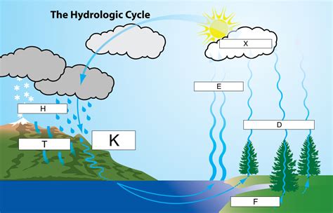 Water Cycle Definition Steps Diagram Facts Britannica Zohal