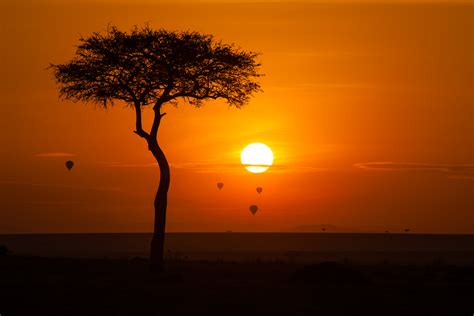 Sunrise In Maasai Mara National Reserve Kenya