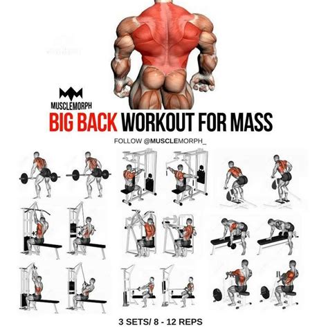 The Big Back Workout For Mass