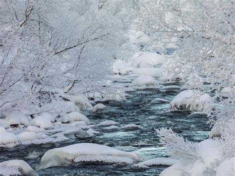 A Streaming Winter Creek Snow And Ice River Surrounded With Snow
