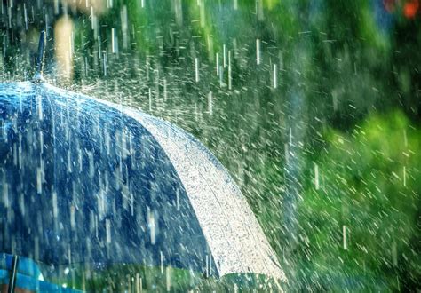 Summer Rain Storm Stock Image Image Of Umbrella Summer 72559511