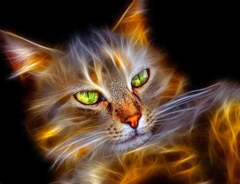 Yuk langsung saja download contoh. Gambar Wallpaper Binatang Lucu Keren - Digital Cat Art ...