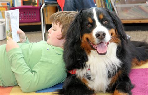 Donate Norwester Therapy Dogs