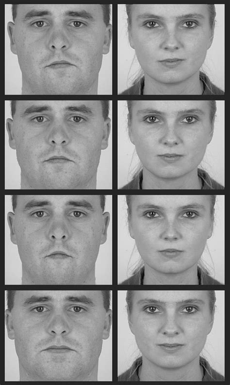 Manipulations Of Facial Symmetry Symmetrical Faces Were Created By