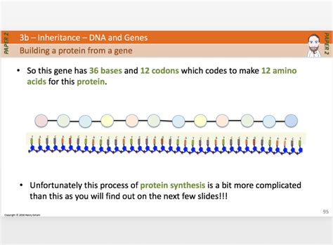 section 3 presentation bundle igcse 9 1 biology