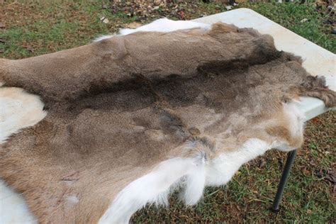 How To Tan A Deer Hide And Keep The Hair Home Design Ideas
