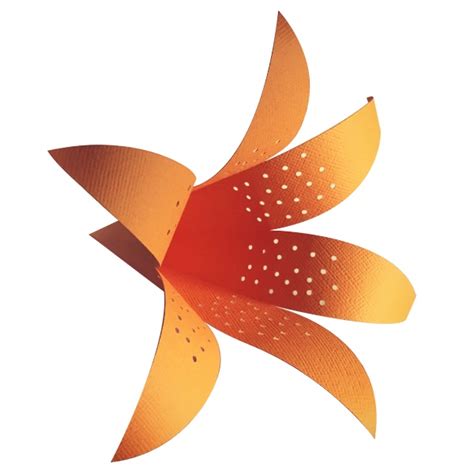 Free Free 279 Lily Flower Svg Free SVG PNG EPS DXF File